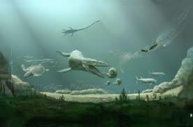 Cretacious 125 -100 MYA