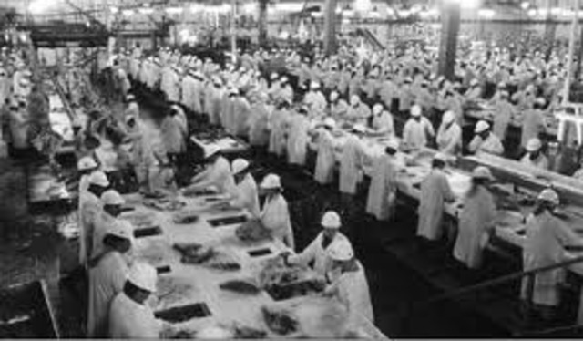 Letter from Agriculture Department to Beef Products' representative