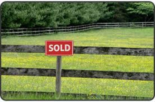 Anthony aqquires land!! Part 2