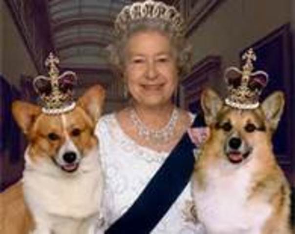 transmission control Protocol/Internet Protocol(TCP/IP0 is designed