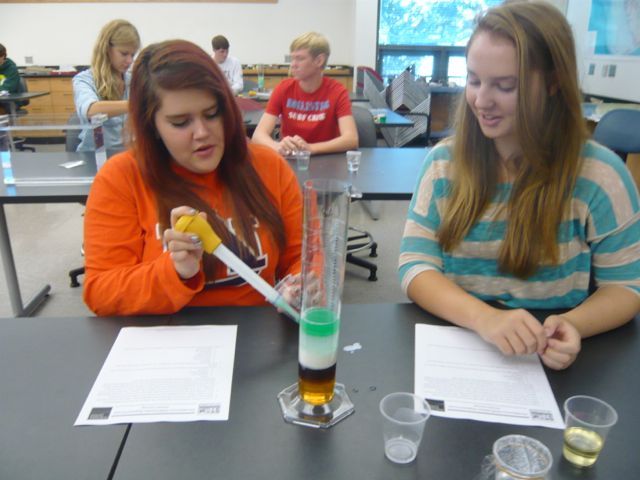 Regional Forum Walton County