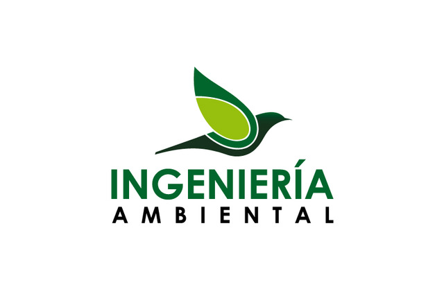 CREACION INGENIERIA AMBIENTAL Y SANITARIA