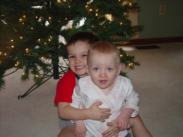 My brother and I helped with the tree