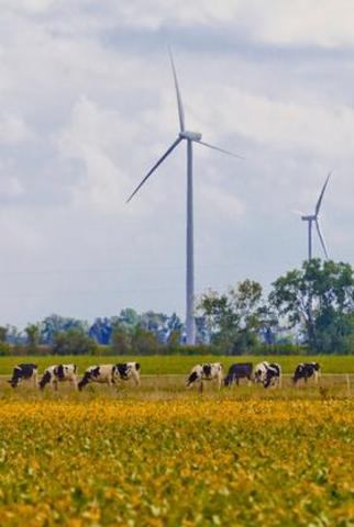 wind beats natrual gas in energy