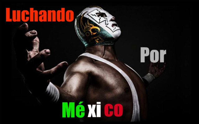 Francisco Xavier Mina, Mier y Terán, Vicente Guerrero y Torres continuaron la lucha por la Independencia.