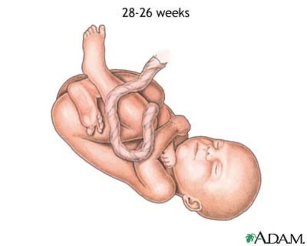 Week 26 pregnant