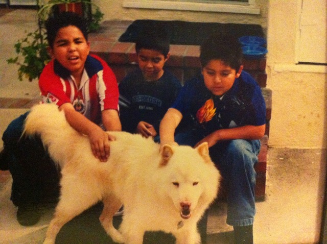 Putting my Dog Down on the Holidays