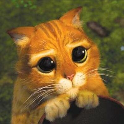 Timeline: Spain in the  XIX  century