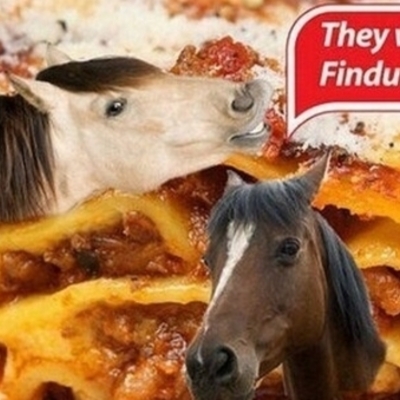 Timeline: FINDUS, une affaire qui a du cheval