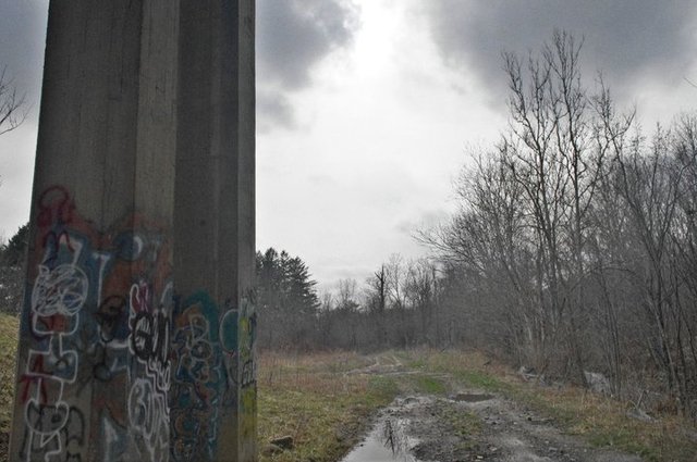 Recieved a Pentax KX for my birthday