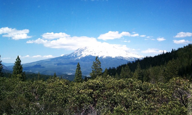 Anthony Johnson Owns Land