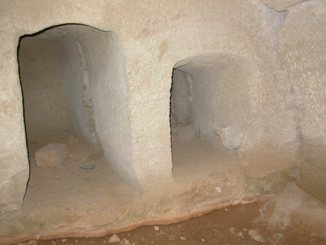 Montresor lead Fortunato into the niche