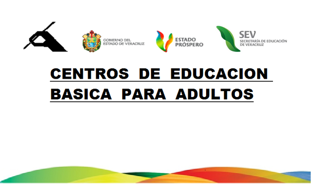 CENTROS DE EDUCACIÓN BÁSICA DE ADULTOS (CEBA)