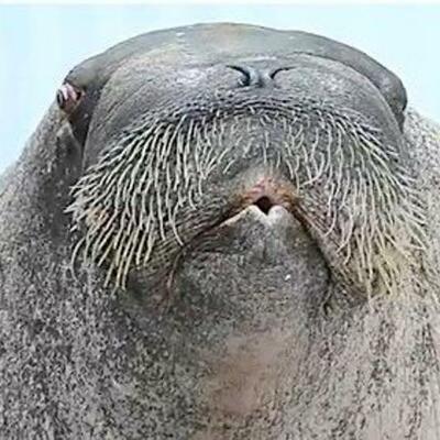 Timeline: Histroy of the Internet