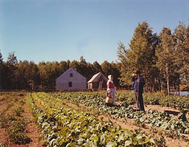 Tending to the Garden