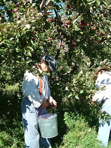 Gathering Food for the Winter