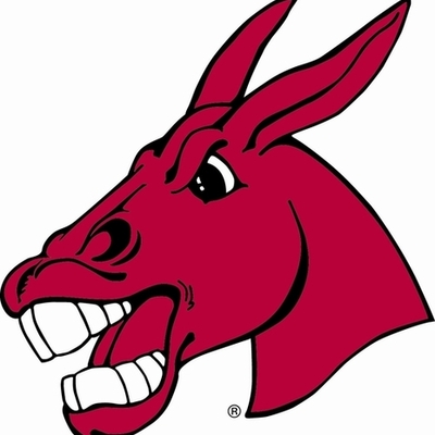 Timeline: Time Capsule Molly Miller