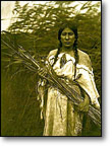 Experience with the Shoshone Tribe