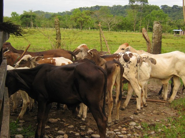 comienzo de las vacaciones