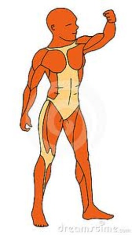 Hermann von Helmholtz