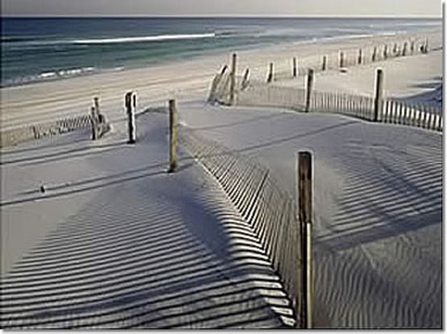 Went to the Jersey Shore