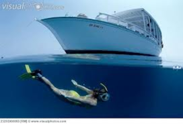 Snorkleing off of the Yacht