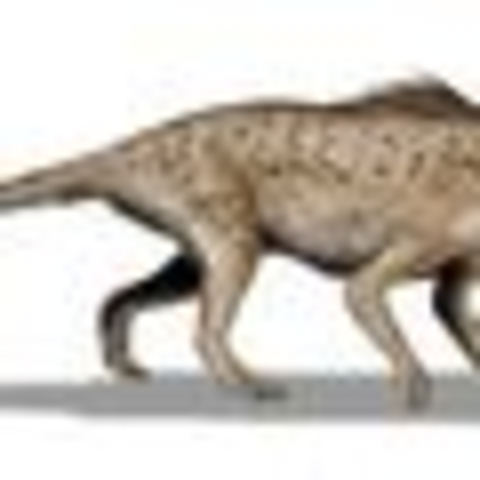 Pakicetus: 55.8-40.4 mya