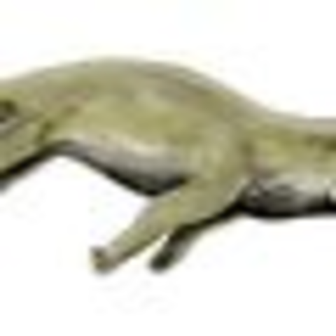 Ambulocetus: 50 to 48 mya