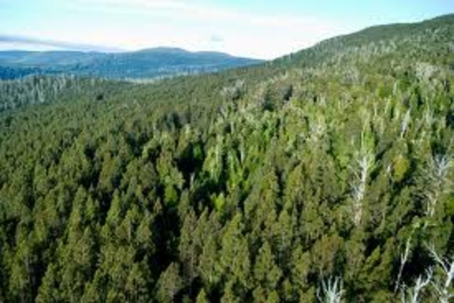 Climax Community Again