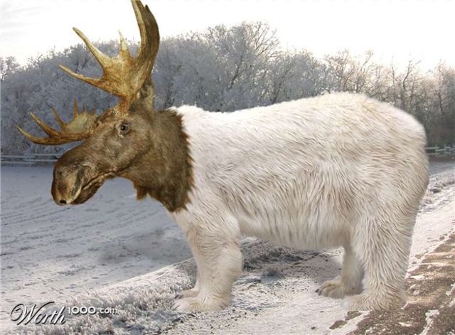 Alaska is Bought by the USA