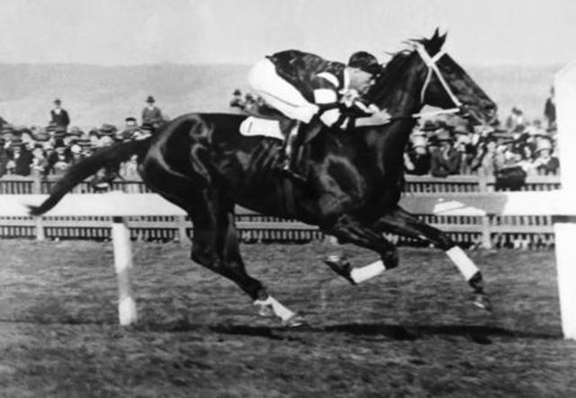 Phar Lap wins the Melbourne Cup