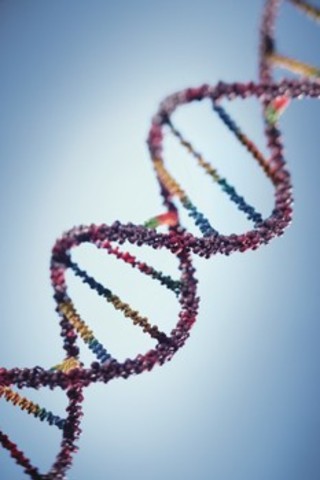 Discovery of the Structure of DNA