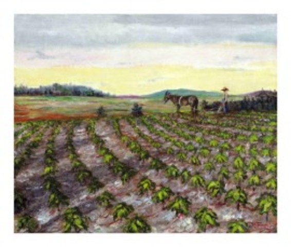 Anthony Johnson Acquires Land