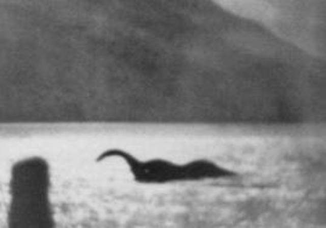 The boy and the man see the "monster" in the lake.