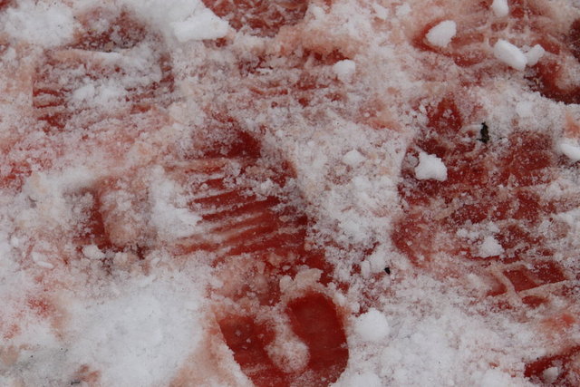 The Father Coughing Blood