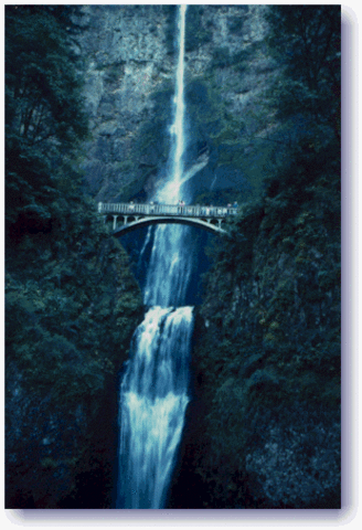 The expedition reaches the Columbia River.