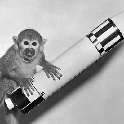 Timeline: Animals in Space