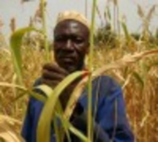 Anthony Johnson Owns Land (Part 2)