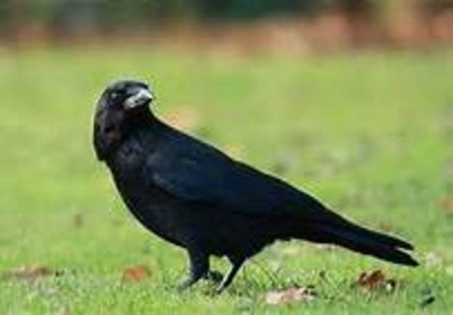 Mission At Pretty Water