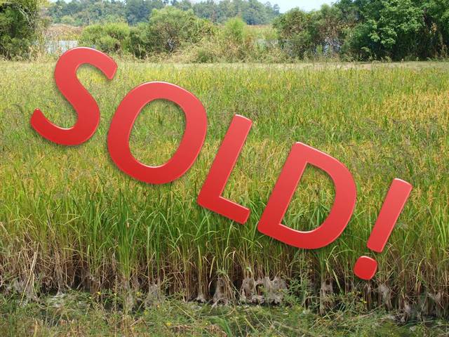 Anthony Johnson Gets Land: Part 1