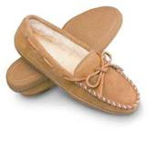 Path to Bittersweet Creek