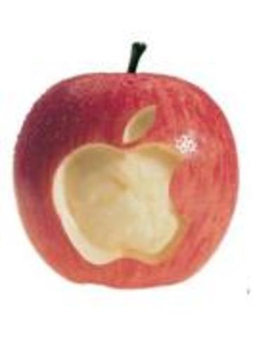 Всемиизвестный Стив Джобс внес свою лепту