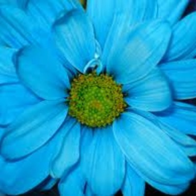 Timeline: Our Timeline