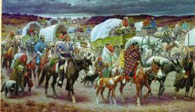 Worcester vs Georgia