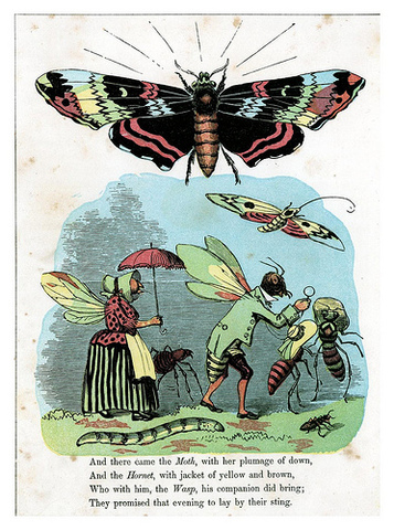 "The Butterfly's Ball"