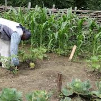 Timeline: Anthony Johnson