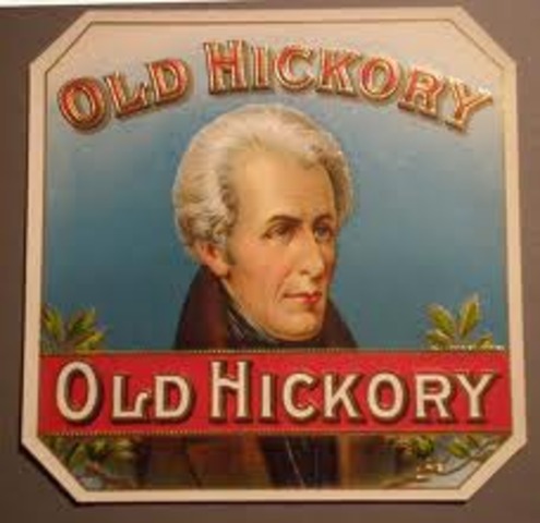 Andrew Jackson's Political Career Started
