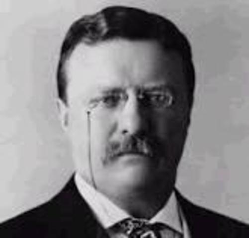 Theodore Roosevelt elected president