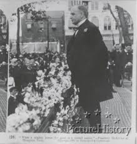McKinley is reelected president