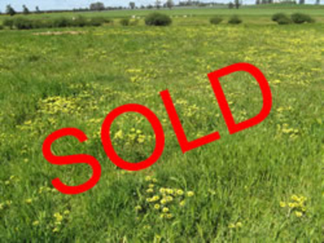 Anthony Johnson acquires Land